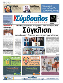Σύμβουλος Επιχειρήσεων