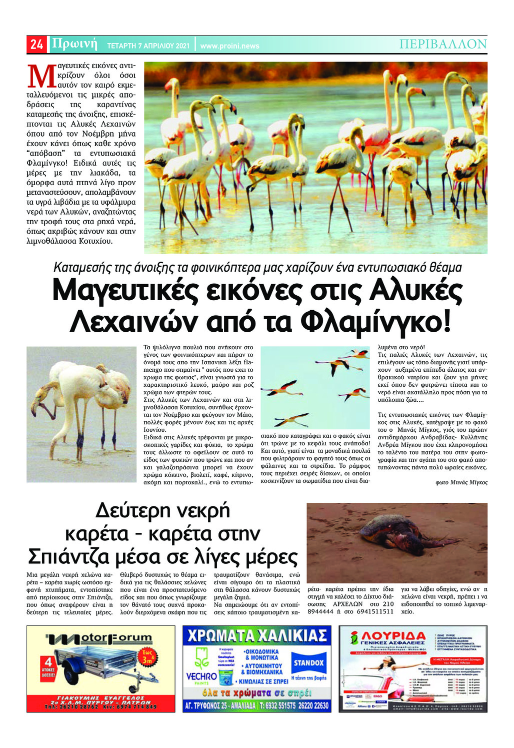 Οπισθόφυλλο εφημερίδας Πρωινή Ηλείας