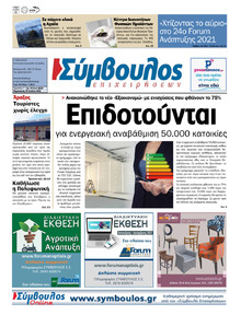 Σύμβουλος Επιχειρήσεων