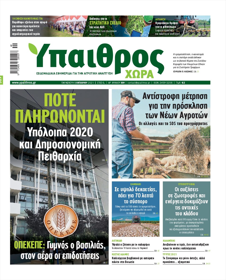 Πρωτοσέλιδο εφημερίδας 