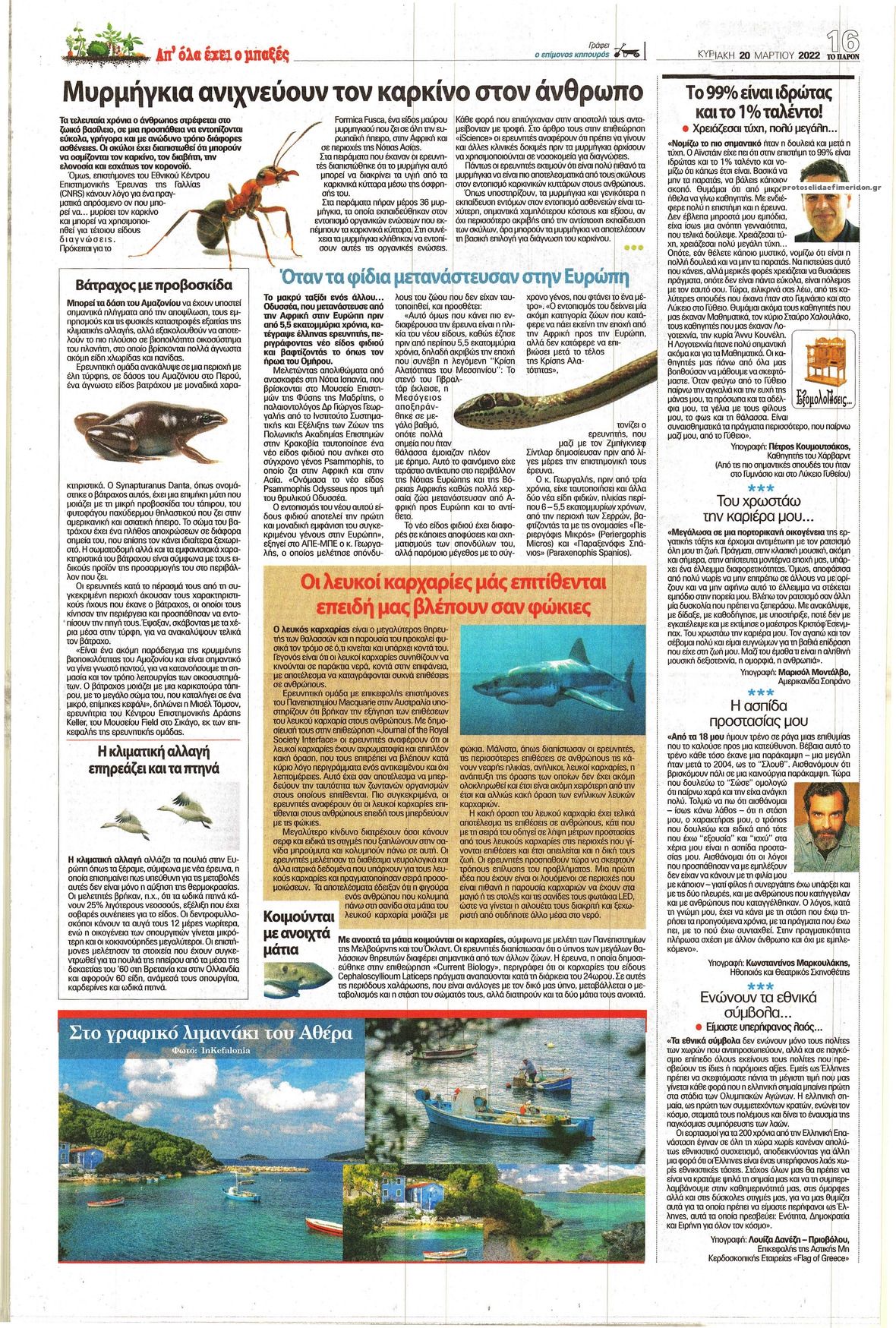 Οπισθόφυλλο εφημερίδας Το Παρόν