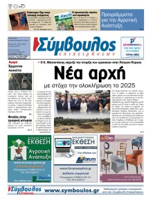 Σύμβουλος Επιχειρήσεων