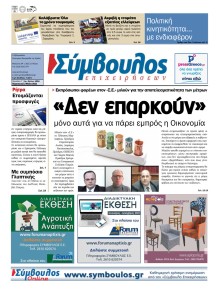 Σύμβουλος Επιχειρήσεων