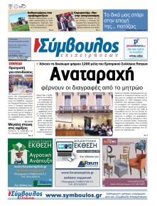 Σύμβουλος Επιχειρήσεων