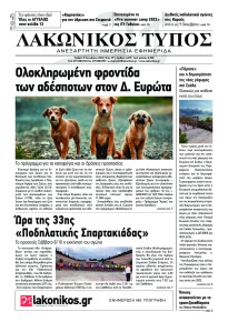 Λακωνικός Τύπος