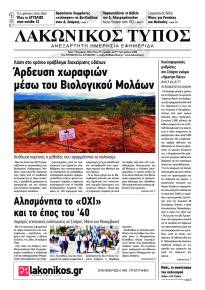 Λακωνικός Τύπος