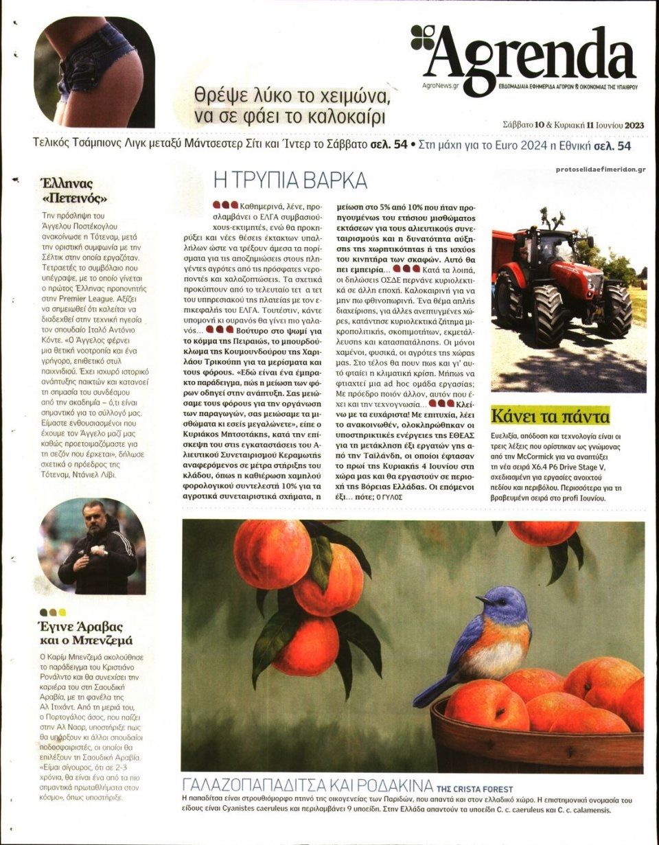 Οπισθόφυλλο εφημερίδας Agrenda