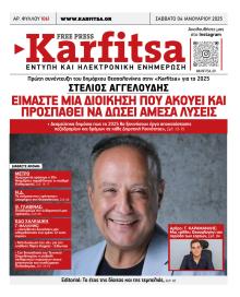 Καρφίτσα