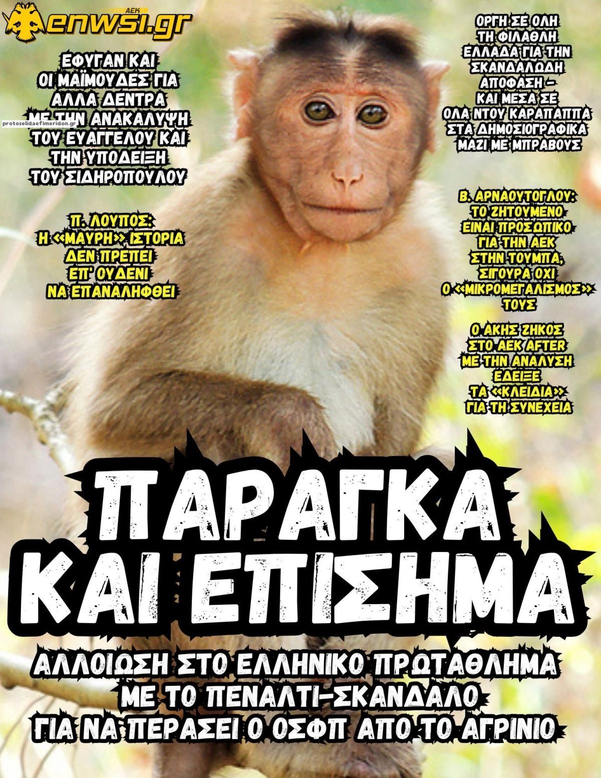 Πρωτοσέλιδο εφημερίδας enwsi.gr