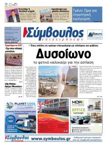 Σύμβουλος Επιχειρήσεων
