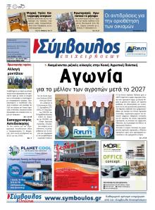 Σύμβουλος Επιχειρήσεων