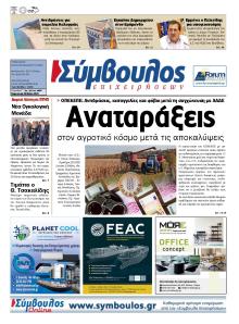 Σύμβουλος Επιχειρήσεων