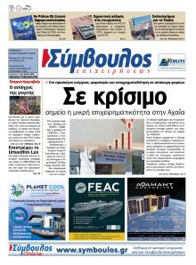 Σύμβουλος Επιχειρήσεων