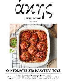 ΠΡΩΤΟ ΘΕΜΑ - ΑΚΗΣ ΠΕΤΡΕΤΖΙΚΗΣ