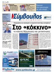 Σύμβουλος Επιχειρήσεων